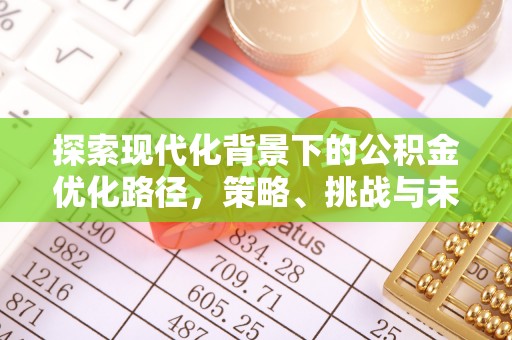 泰州探索现代化背景下的公积金优化路径，策略、挑战与未来展望