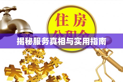 泰州揭秘服务真相与实用指南