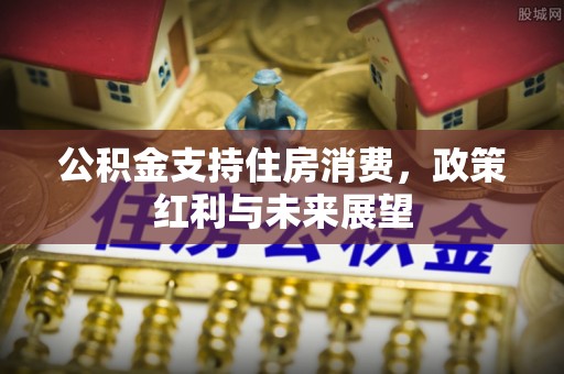 泰州公积金支持住房消费，政策红利与未来展望