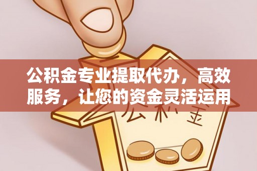 泰州公积金专业提取代办，高效服务，让您的资金灵活运用