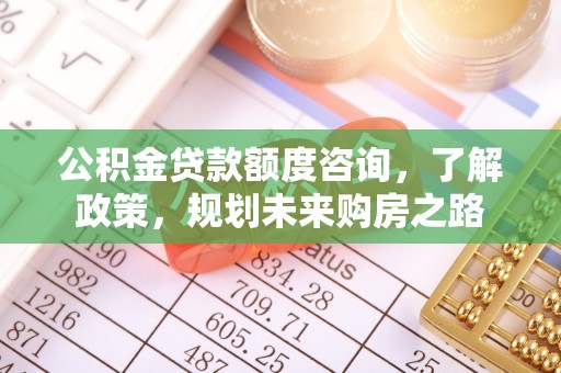 泰州公积金贷款额度咨询，了解政策，规划未来购房之路