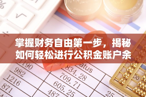泰州掌握财务自由第一步，揭秘如何轻松进行公积金账户余额查询